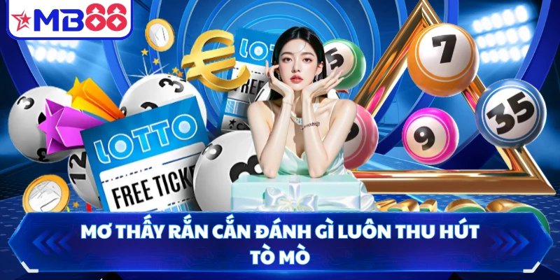 Mơ thấy rắn cắn đánh gì luôn thu hút tò mò